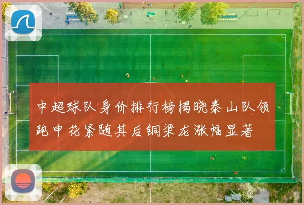 中超球队身价排行榜揭晓泰山队领跑申花紧随其后铜梁龙涨幅显著