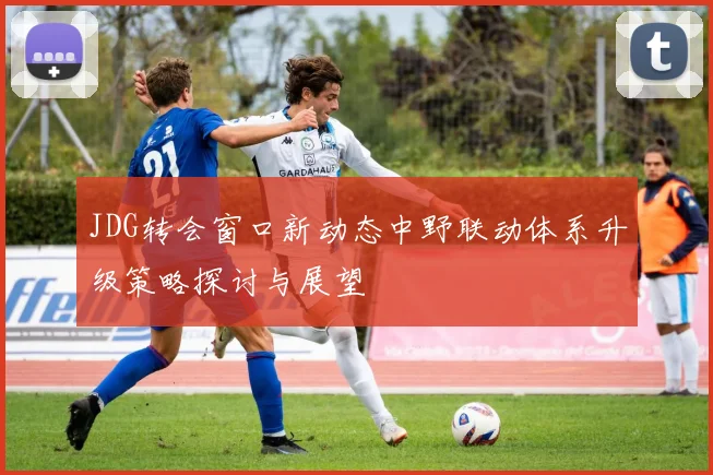 JDG转会窗口新动态中野联动体系升级策略探讨与展望