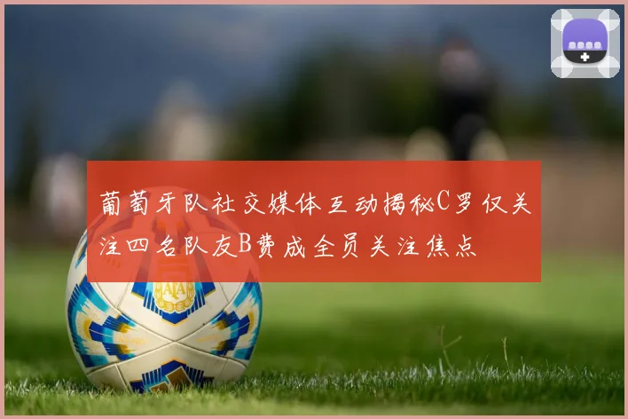 葡萄牙队社交媒体互动揭秘C罗仅关注四名队友B费成全员关注焦点